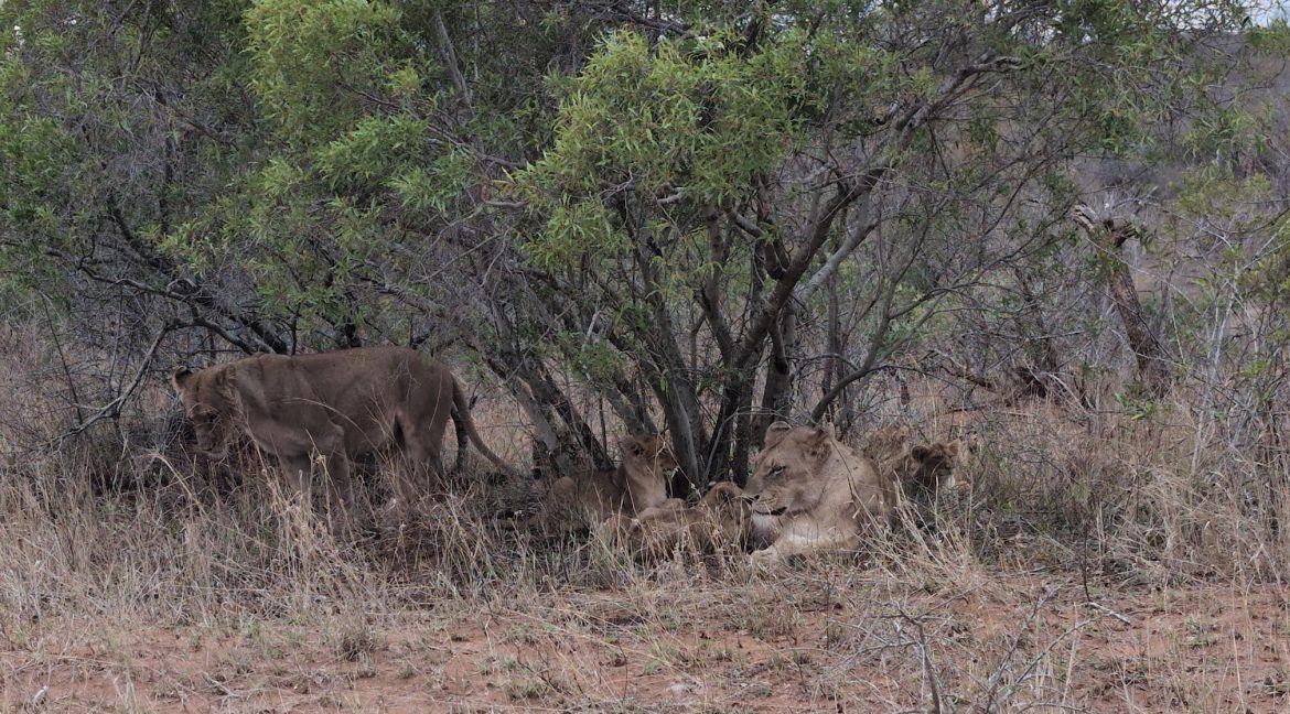 IMG_20251003_071627_530_small