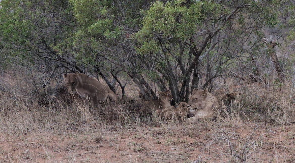 IMG_20251003_071628_743_small